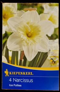 Narcis ´Ice Follies´
