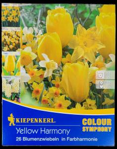 Směs ´Yellow Harmony´