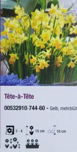 Narcis bramboříkový ´Tete a Tete´